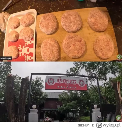 dizel81 - Skrót gniota Kiszonka studio odc. 1248:
- zjedli jakąś zupę na śniadanie
- ...