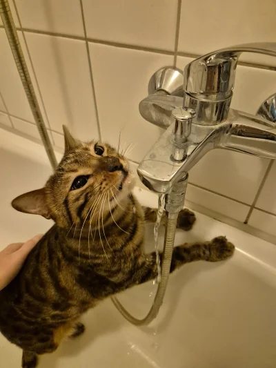 Lujdziarski - @swinka_morska Jak ma ochotę na drinka, to się nie boi.