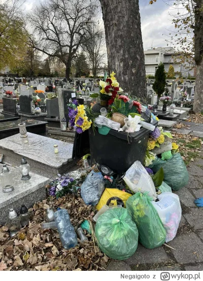 Negaigoto - A wybacz, nie widać chodnika. Dodam nieprzycięte zdjęcie;