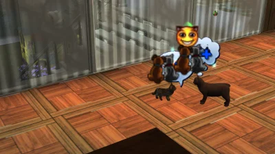 Sandrinia - Koty rozmawiają ze sobą
#simsy #sims3 #koty