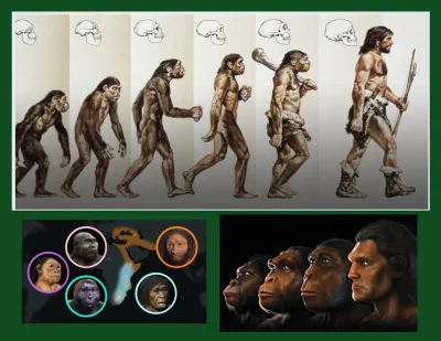 Wincencik - W tak ważnych sprawach ludzkość musi i powinna bazować tylko na wnioskach...