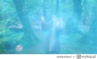matysbest - #famemma Wardęga w-------y rzuca czary w lesie na PDFa
