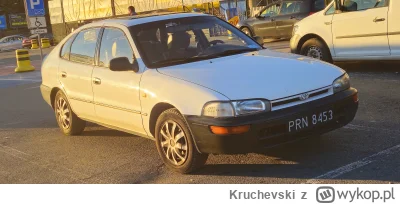 Kruchevski - #czarneblachy  

Grzyby wyciągają swoje grzybowozy. Kulminacja za tydzie...