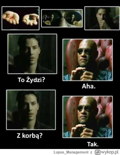 Lupus_Management - #zydkrecikorba