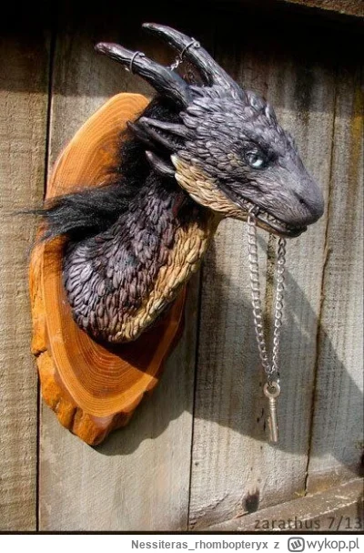 Nessiteras_rhombopteryx - #gabinetosobliwosci #smoki