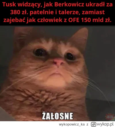 wykopowicz_ka - ( ͡° ͜ʖ ͡°)

#polityka #konfederacja #humor #heheszki