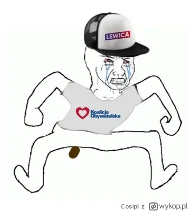 Cosipi - @Cosipi: tak was widzę xd