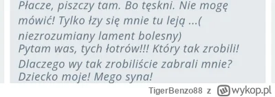 TigerBenzo88 - #kononowicz #patostreamy                                   
 Niedługo ...