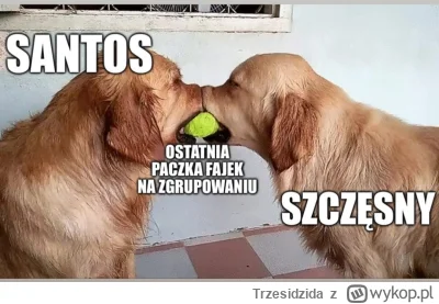 Trzesidzida - #mecz