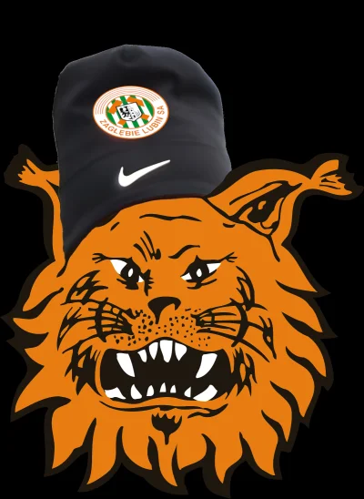 KebabZostrymSosem - #mecz #dolnoslaskitygrys
Ciepła woda, połamane kości rywala no i ...