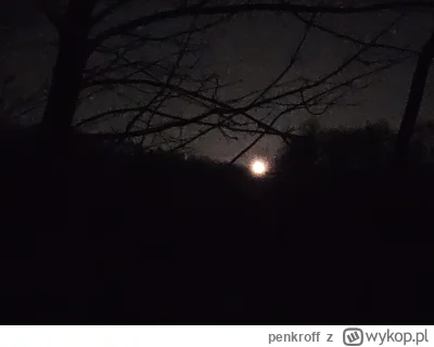 penkroff - #przegryw #spierdotrip  dziś -7 fajnie śnieg skrzypi pod butami