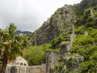 jutronaobiadznowuryz - Dziewiętnaście misiecy temu spytałam barakuda czy chce przyjec...