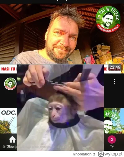 Knoblauch - #raportzpanstwasrodka 
Maupke to trzeba ostrzyc.