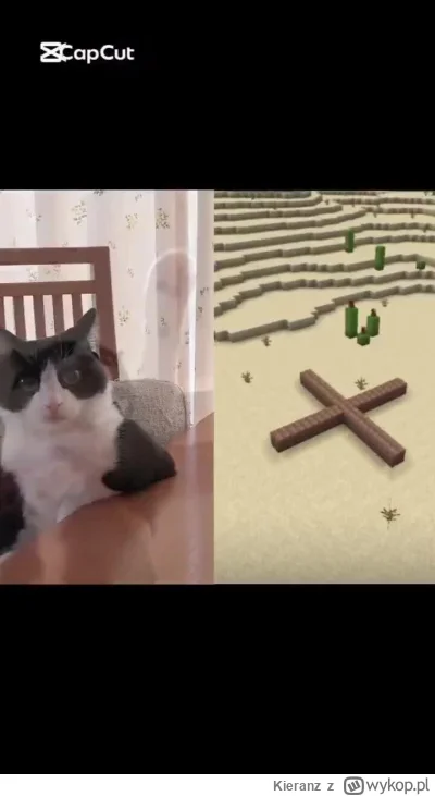 Kieranz - #koty #heheszki #ocieplaniewizerunkuadolfahitlera #gry #minecraft