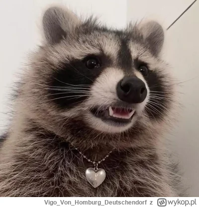 VigoVonHomburg_Deutschendorf - Gdy oglądasz film i postać, która myślałeś, że umarła ...