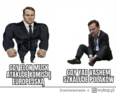 Dominsiemaelo - #polityka  #heheszki #bekazpo