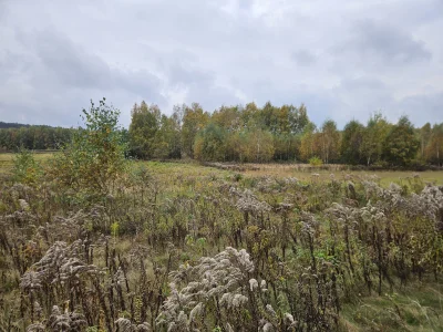 penkroff - #spierdotrip brzydki ten październik może w listopadzie bedzie co