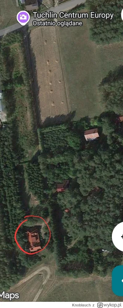 Knoblauch - @Marecki85