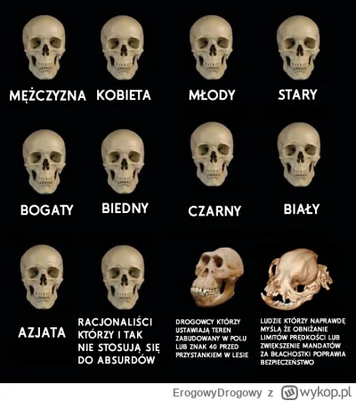 ErogowyDrogowy - Anatomia porównawcza

SPOILER