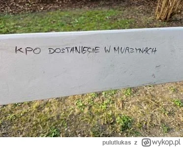 pulutlukas - @marekrz: