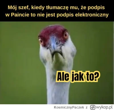 KosmicznyPaczek - #humorobrazkowy #heheszki #januszex