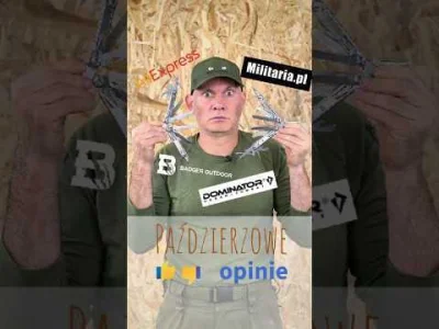 RidgeForrester - @konradpra: takie coś widziałem 3 tygodnie temu