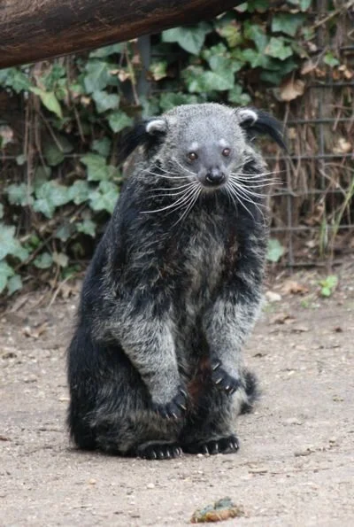 wfyokyga - Nie mam i nie używam tindera, spotify, reddita, diskorda, pyszne pl, ubera...