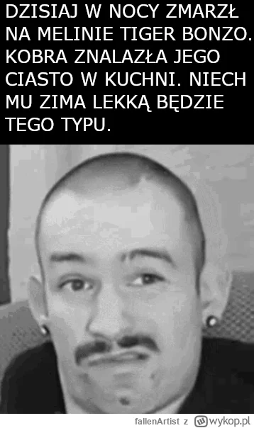 fallenArtist - Akat pytasi się nie raz nie dwa, dlaczego tiger nie wrzuca gniotów, ak...