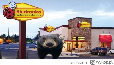 annlupin - trzeba na jakieś zakupy iść rzeczy na święta kupić potem coś ugotować sobi...