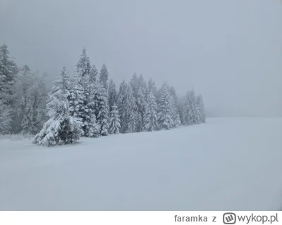 faramka - Między Runkiem a Bacówką nad Wierchomlą
02.12.2023

#gory #beskidsadecki ##...