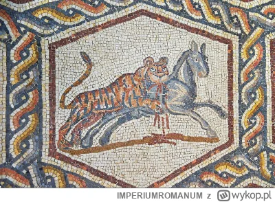 IMPERIUMROMANUM - Rzymska mozaika podłogowa ukazująca polującego tygrysa

Rzymska moz...