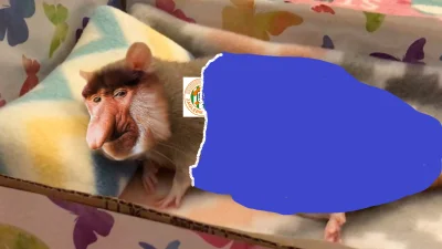 Zi3L0nk4 - #mecz Jutro już grudzień, wczoraj Andrzejki były, zima, koniec rundy - nie...