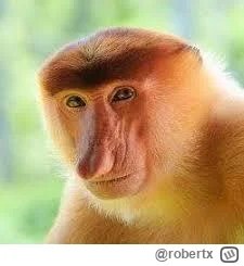 robertx - @uncle_freddie: No szkoda, szkoda ( ͡° ͜ʖ ͡°)