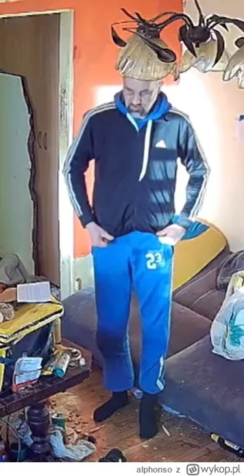 alphonso - @alphonso: