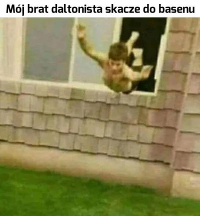 MLeko29 - Dzień dobry