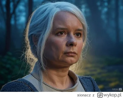 xionacz - #witcher #gry