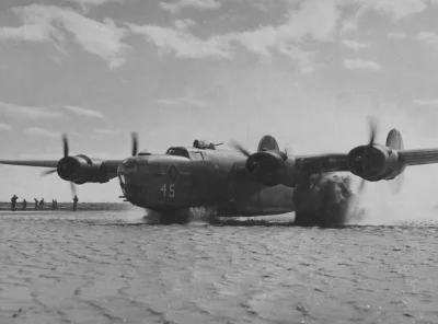 gejfrut100 - ciężki bombowiec b-24 liberator ladujący na lotnisku w południowych włos...
