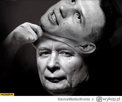 SiemaWaliszKonia - @FikuMiku6