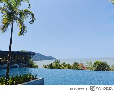 macieyy - @innv no elo