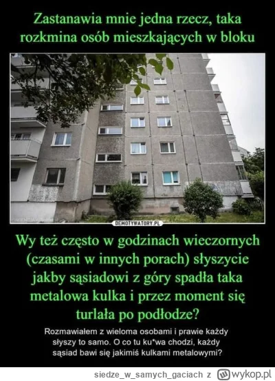 siedzewsamych_gaciach - #gownowpis #kiciochpyta