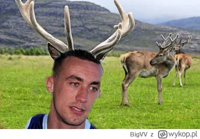 BigVV - #mecz to jest prawdziwy jeleń a nie jakiś cwaniaczek bez pokory