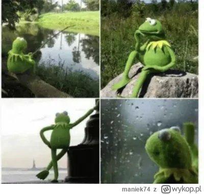 maniek74 - @kot__morderca kot morderca czekający aż zadzwoni jego alert na WIG20 na 2...