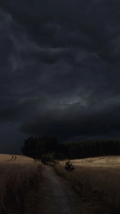 Arvin - Ehh, no i nie udało mi się w tym roku na spierdotripie zrobić podobnego zdjęc...