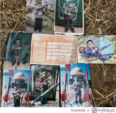 Grzesiok - Ile jeszcze niewinnych dzieci zostanie zabitych przez izraelskie naloty? (...