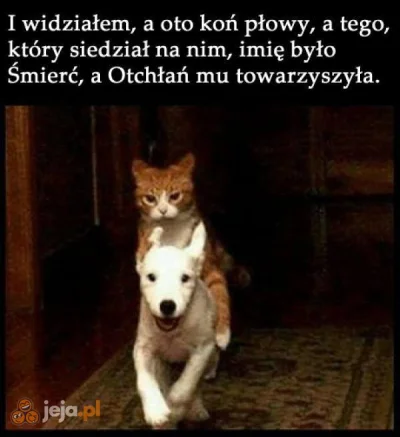 PietrekSpodKrakowa - @Wolframowy_Murarz: