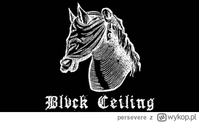persevere - Blvck Ceiling - Fountains

#muzyka