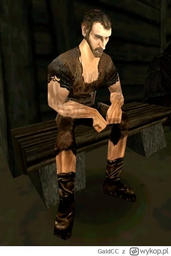 GaldCC - Kolejny dzień i znowu to samo
#gothic #pracbaza