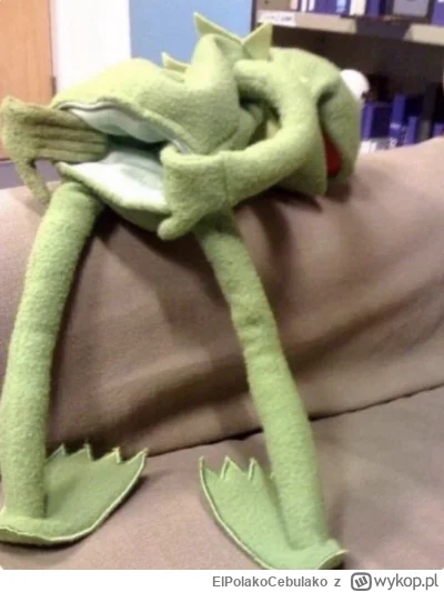 ElPolakoCebulako - Eagles DL vs Mahomes

#superbowl