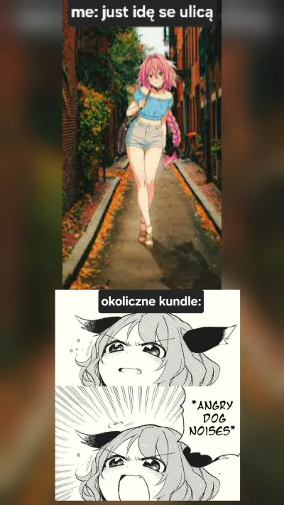 femboiz69 - #psiarze #femboy #astolfo #anime #takaprawda #bekazpodludzi #heheszki