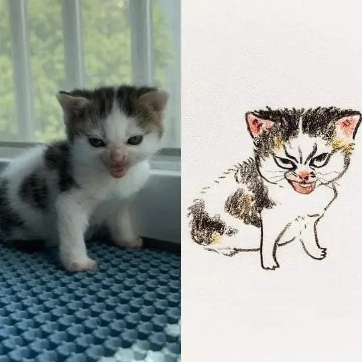 daniel-darcio - @hfgjfg: anguy